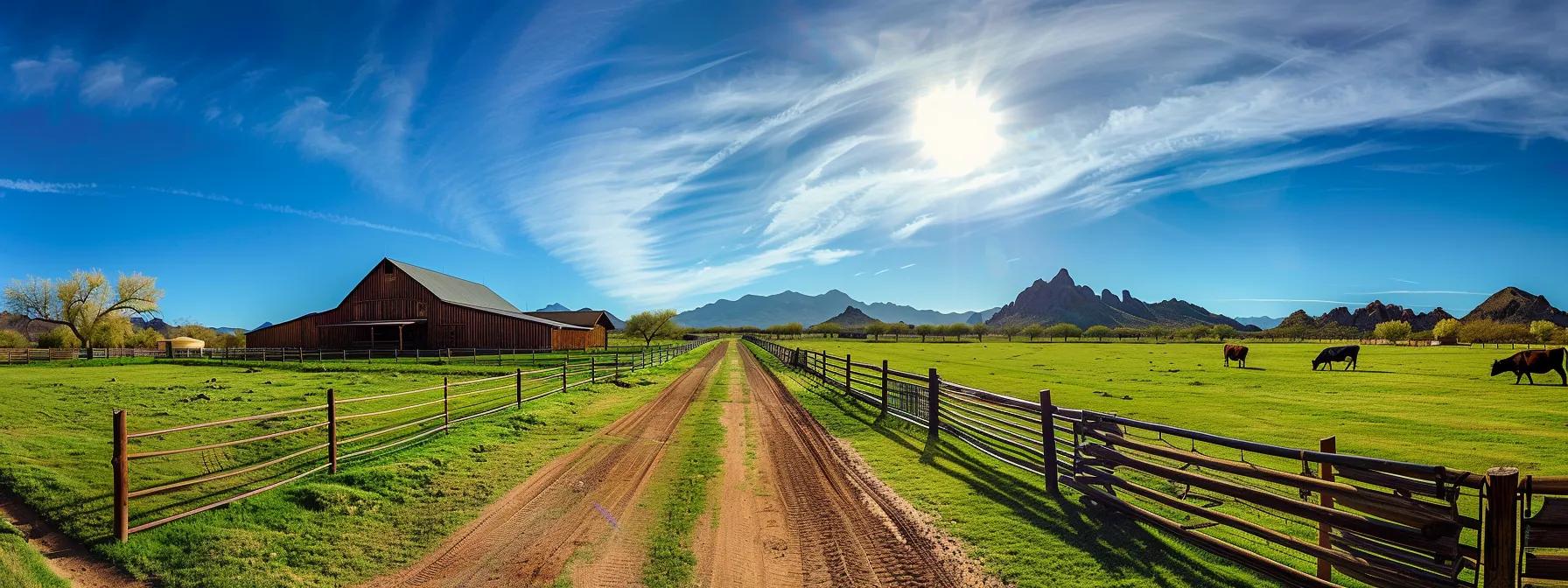 Where to Find Grass Fed Beef Ranches in Arizona